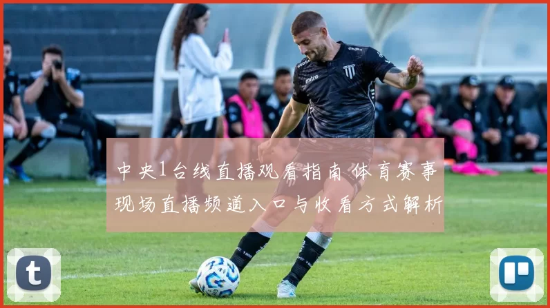 中央1台线直播观看指南 体育赛事现场直播频道入口与收看方式解析