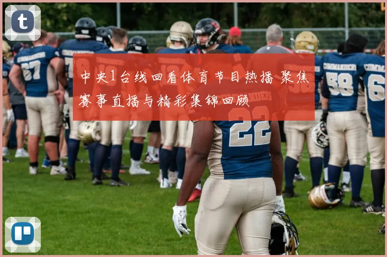 中央1台线回看体育节目热播 聚焦赛事直播与精彩集锦回顾