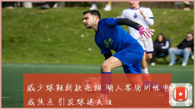 威少球鞋新款亮相 湖人客场训练中成焦点 引发球迷关注