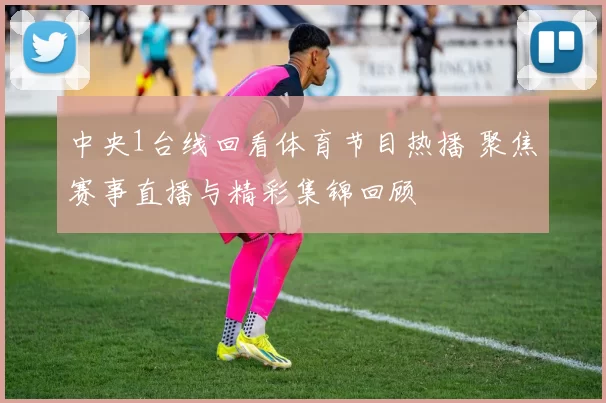 中央1台线回看体育节目热播 聚焦赛事直播与精彩集锦回顾