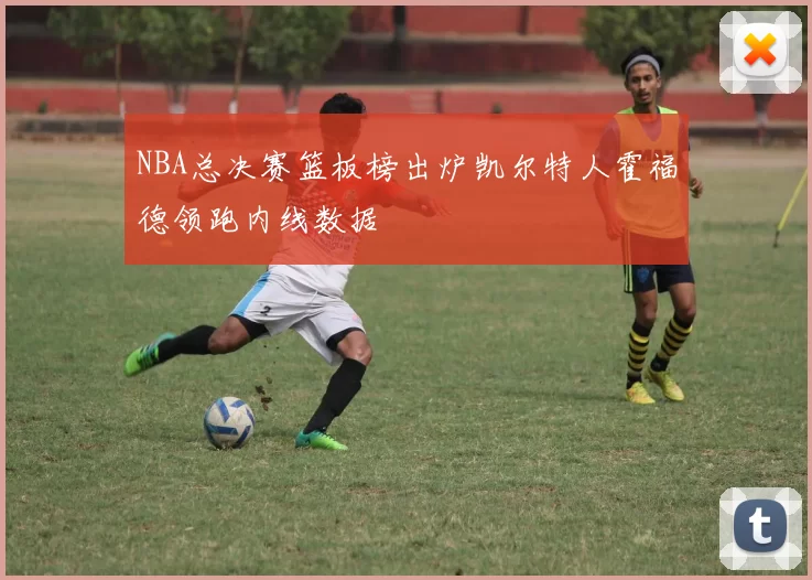 NBA总决赛篮板榜出炉凯尔特人霍福德领跑内线数据